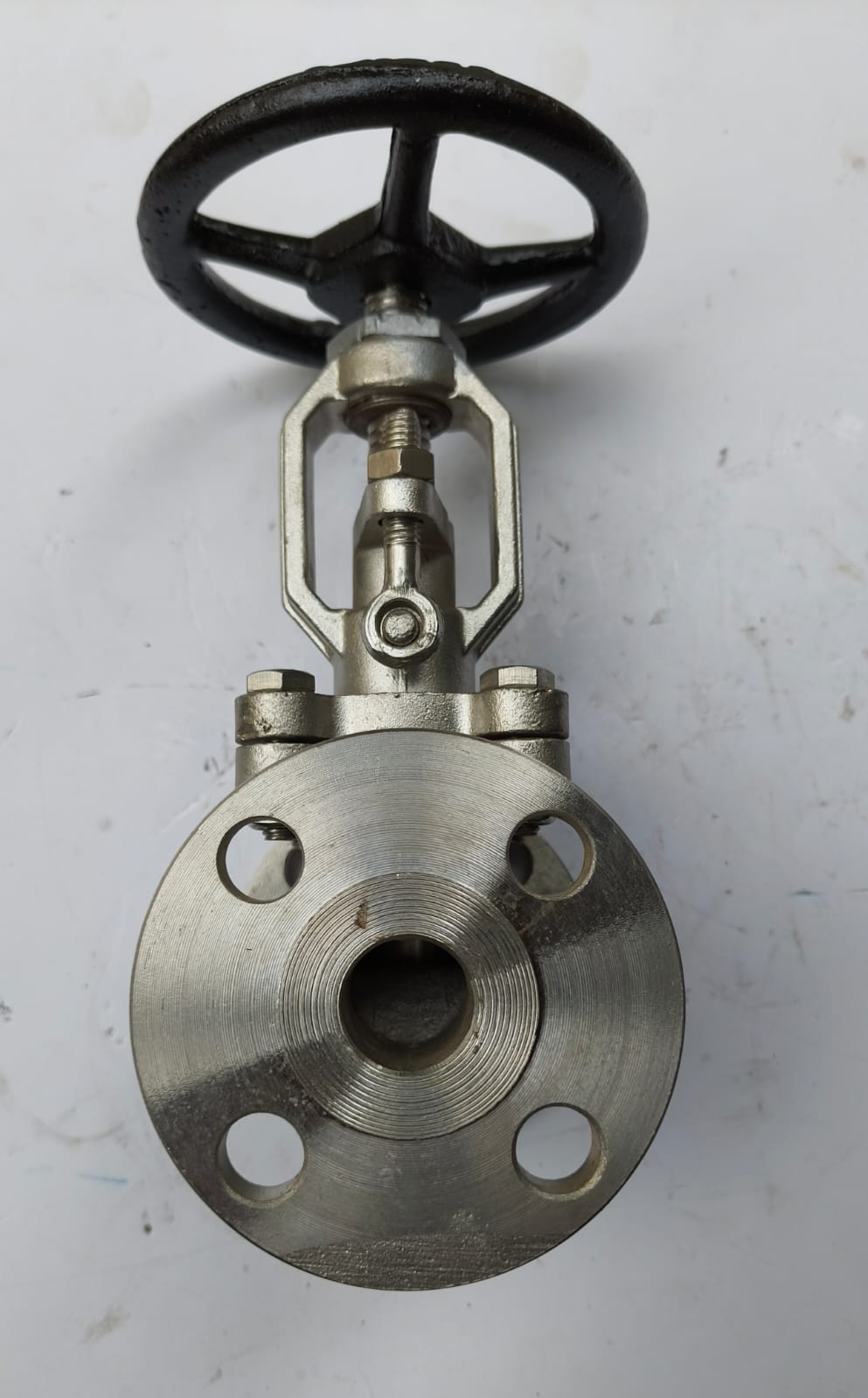 Globe Valves 2