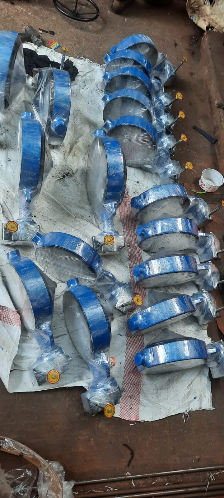 Butterfly Valves 2